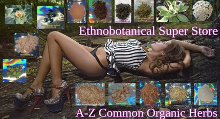 ethnobotanical shop