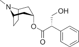 hyoscyamine hebbane wikipedia